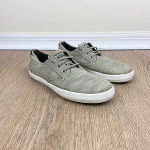 Sperry Bodie Canvas Lace Boy’s Sneakers - Cream